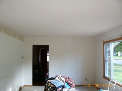 removed borders, looking south
